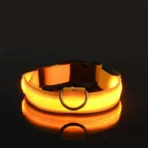 Dog Collar Nylon LED Night Safety Flashing Glow In The Dark Pet Dog Leash pet Dogs Luminous Fluorescent  dog accessories collar - Image 12