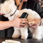Professional Pet Deshedding Brush Multifunctional Pet Groom Brush Ergonomic Pet Groom Brush Dog Hair Remover Deshedding Tool - Image 4